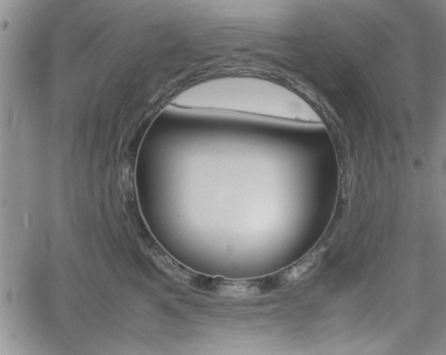 X0000062170521200512091054