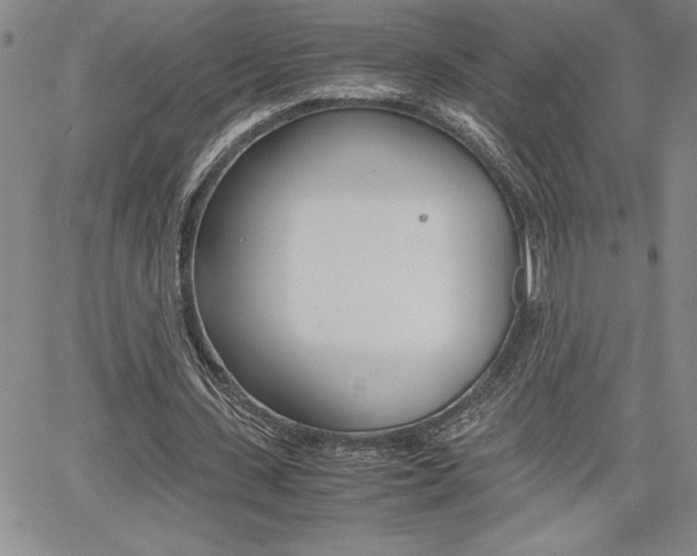 X0000062170531200512091053