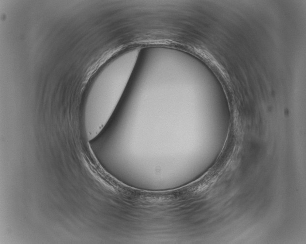 X0000062170533200512091053