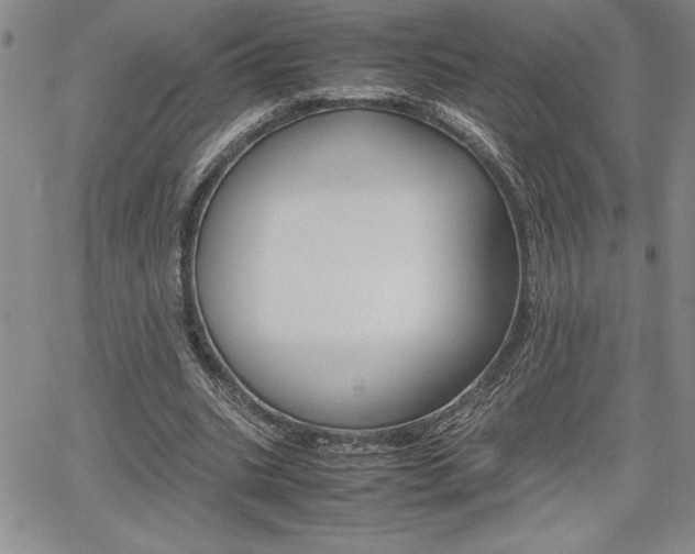 X0000062170535200512091053
