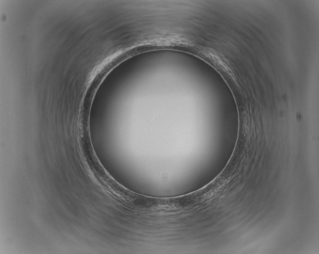 X0000062170536200512091053