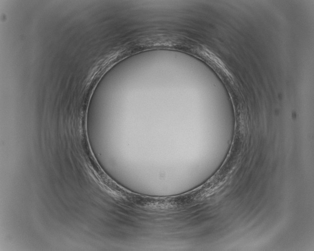 X0000062170537200512091053