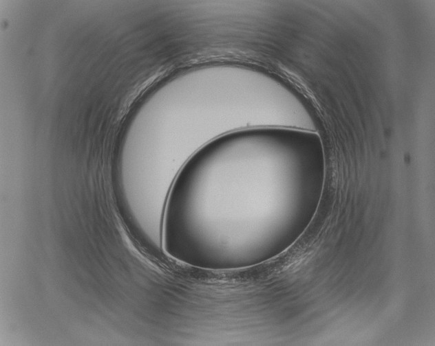 X0000062170538200512091053