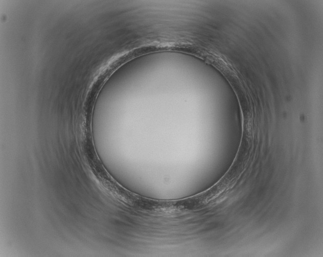 X0000062170540200512091053