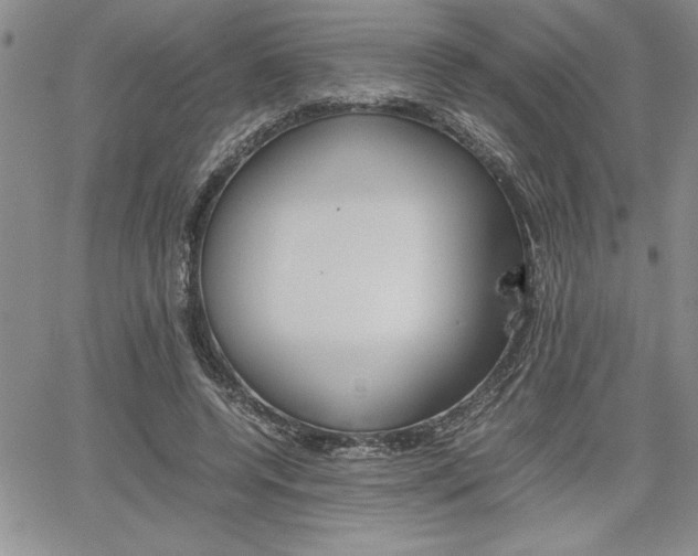 X0000062170544200512091053