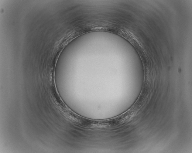 X0000062170545200512091053