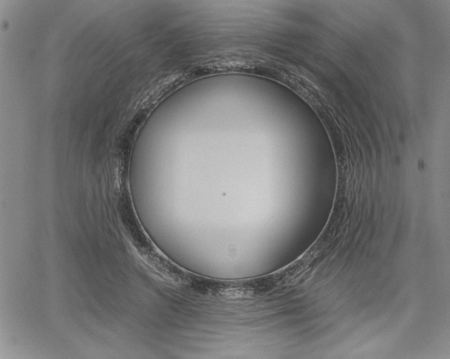 X0000062170546200512091053
