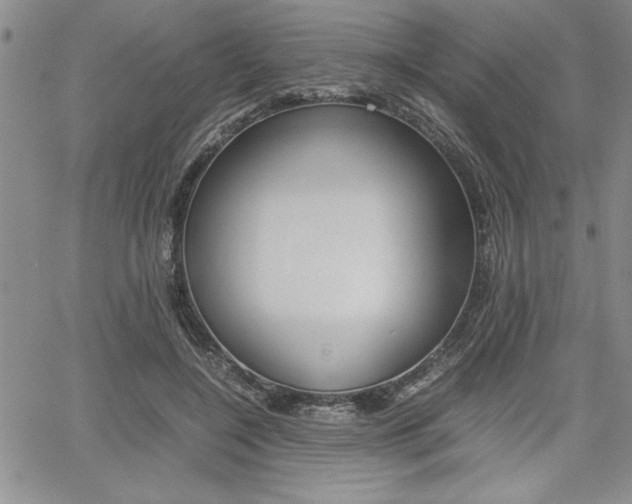 X0000062170548200512091054
