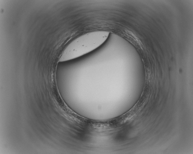 X0000062170549200512091054