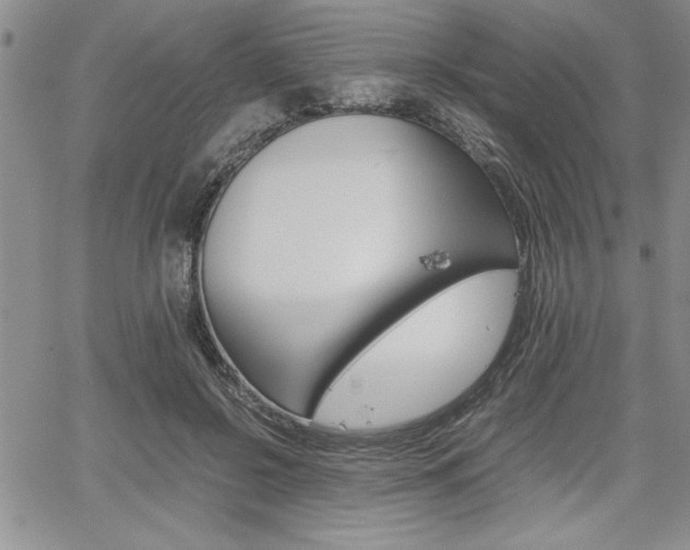 X0000062170550200512091054