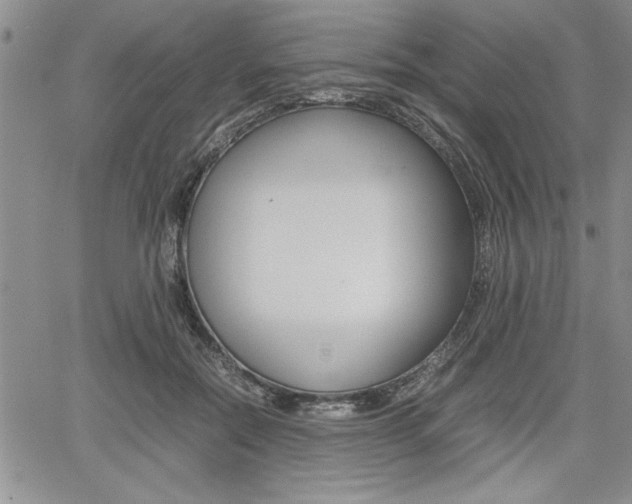 X0000062170554200512091054