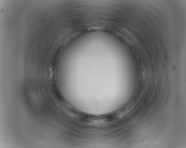 X0000062170555200512091054