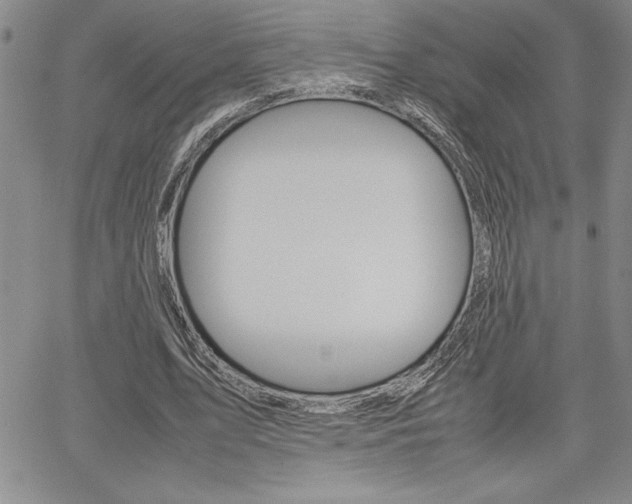 X0000062170583200512091053
