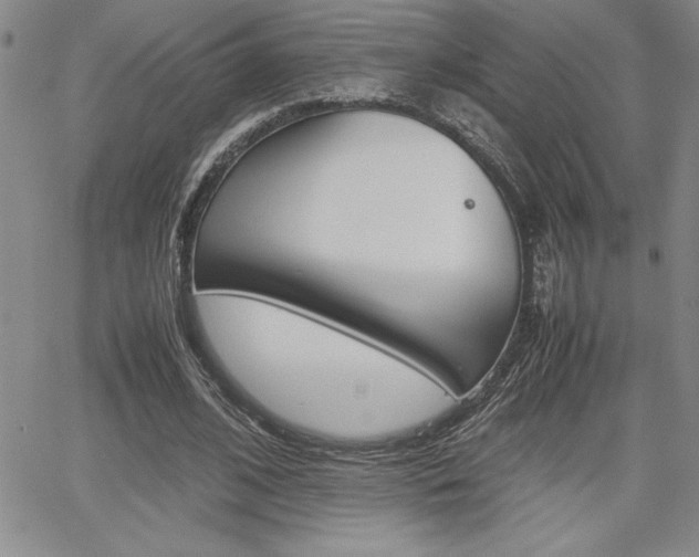 X0000062170584200512091053