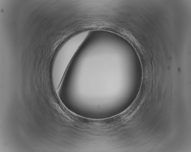 X0000062170585200512091053