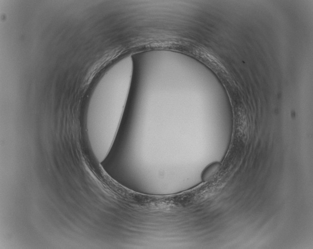 X0000062170586200512091053