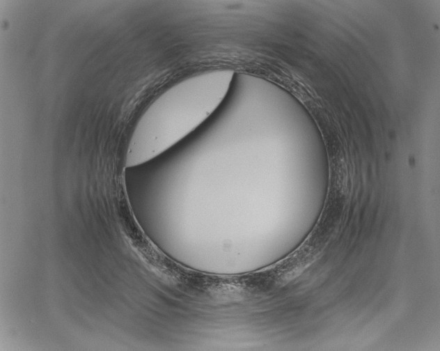 X0000062170594200512091053