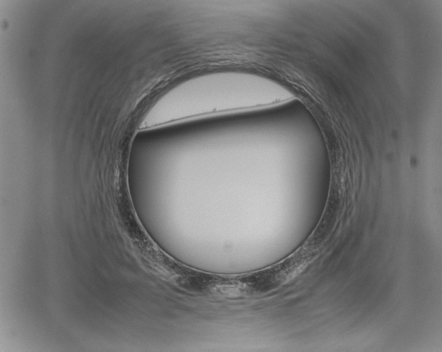 X0000062170595200512091053
