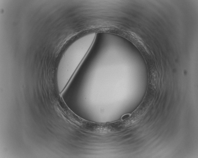 X0000062170596200512091053