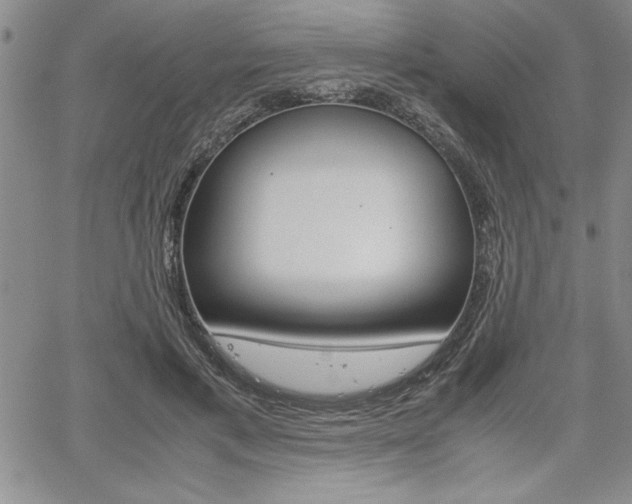 X0000062170597200512091053