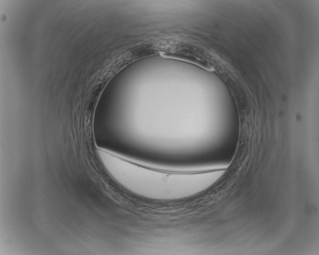 X0000062170601200512091053
