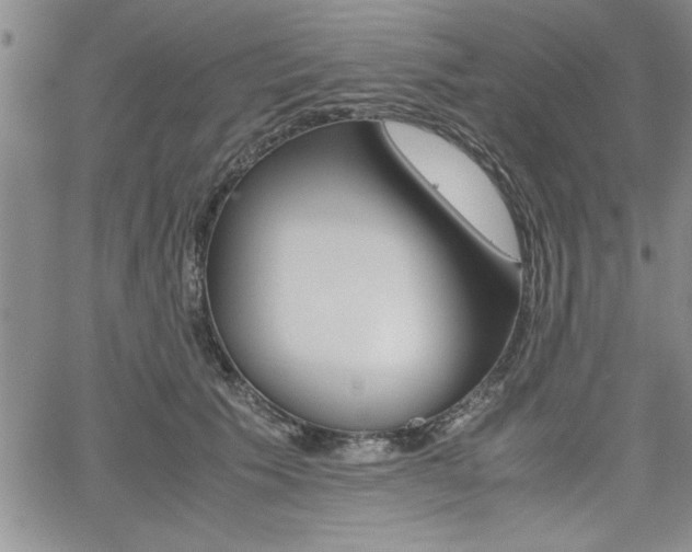 X0000062170609200512091053