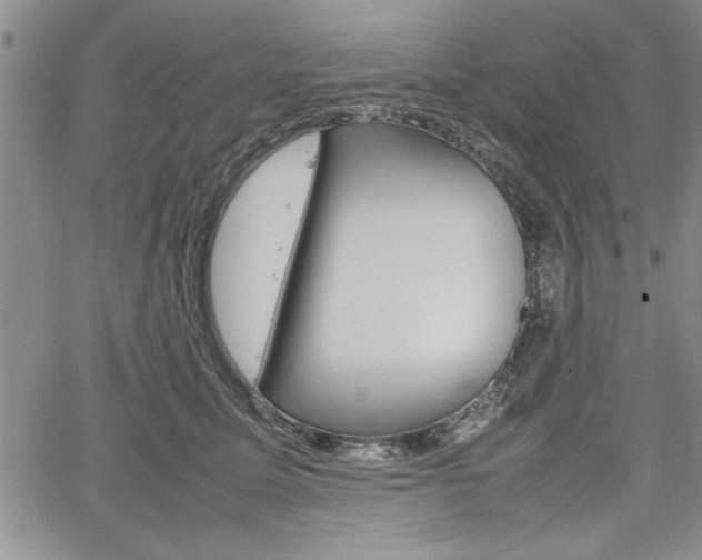 X0000062170611200512091053