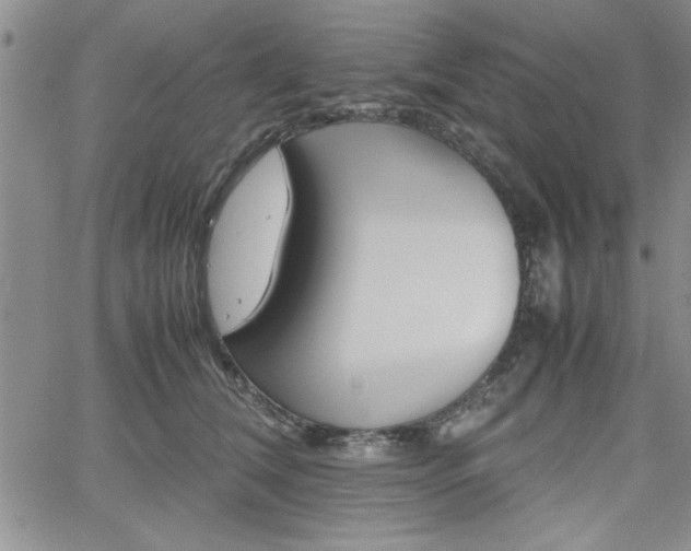 X0000062170612200512091053
