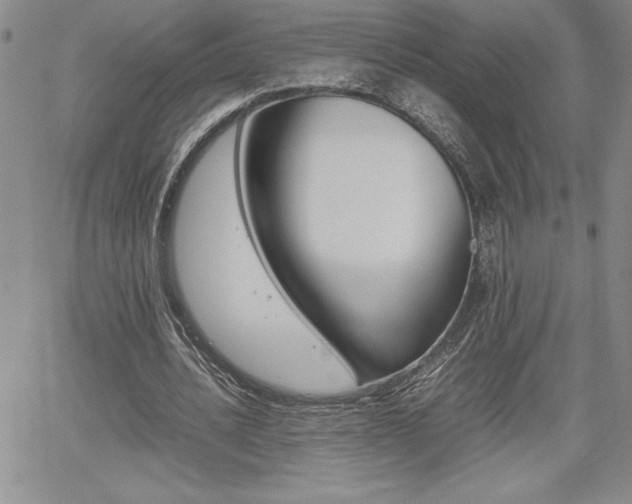 X0000062170628200512091052