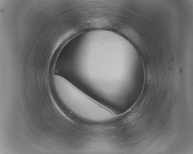 X0000062170630200512091052