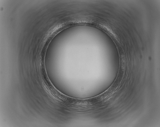 X0000062170631200512091052