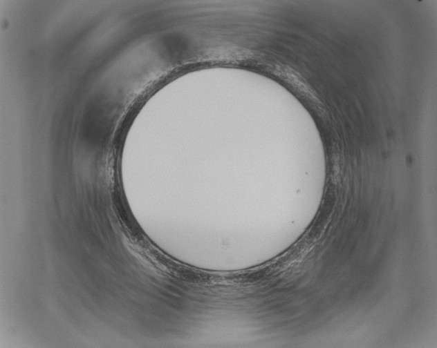 X0000062170632200512091052