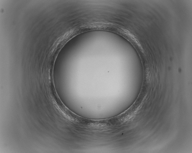 X0000062170633200512091052
