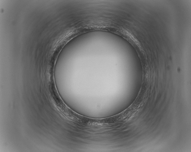X0000062170635200512091052