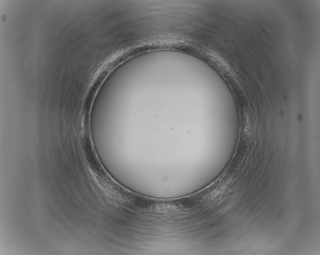 X0000062170636200512091052