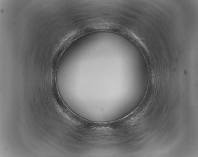 X0000062170637200512091052
