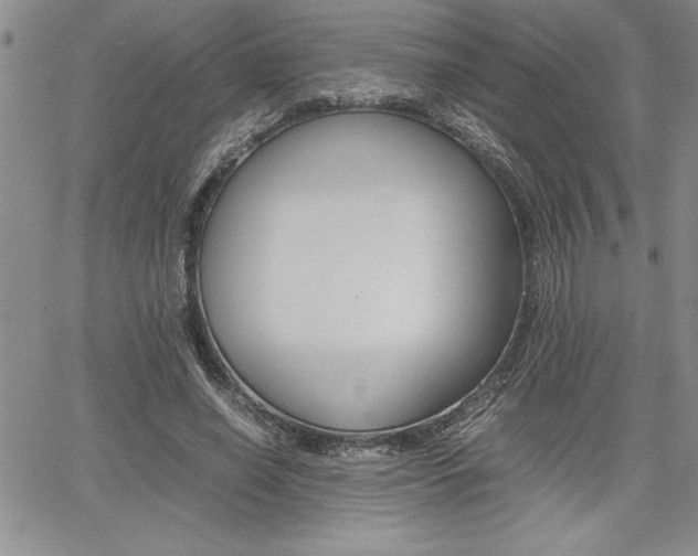 X0000062170638200512091052
