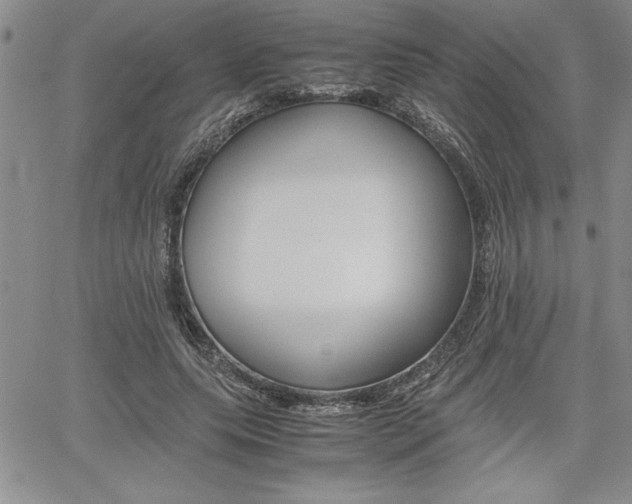 X0000062170639200512091052