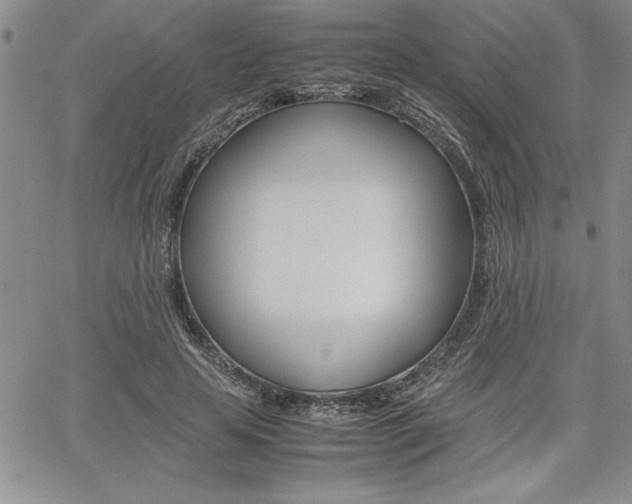 X0000062170641200512091052