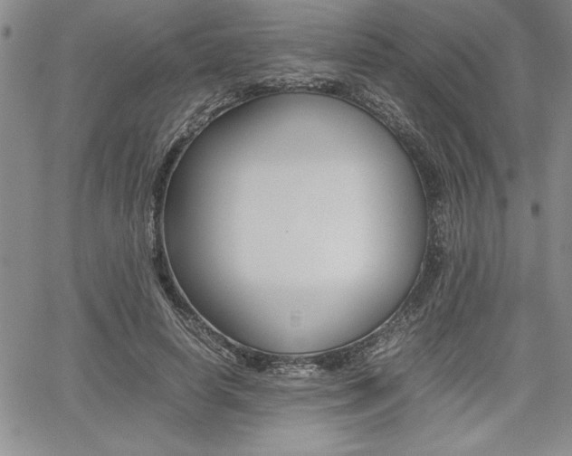 X0000062170642200512091052