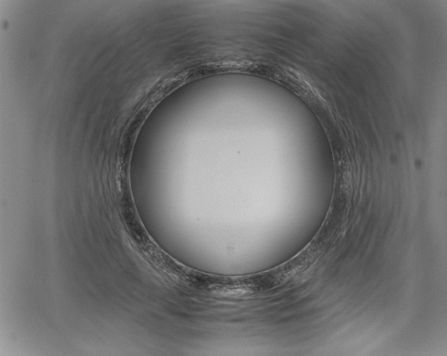 X0000062170643200512091052