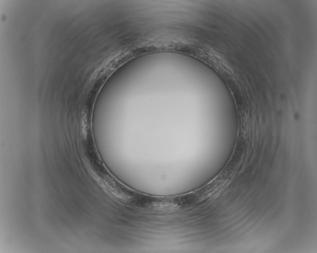 X0000062170644200512091052