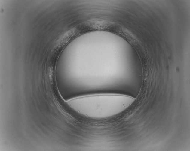 X0000062170646200512091052