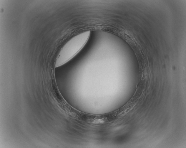 X0000062170647200512091052