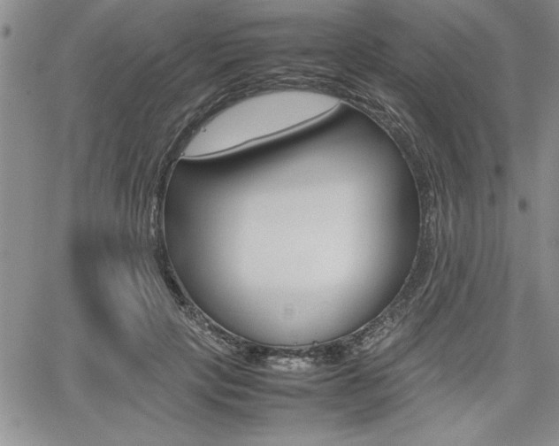 X0000062170649200512091052