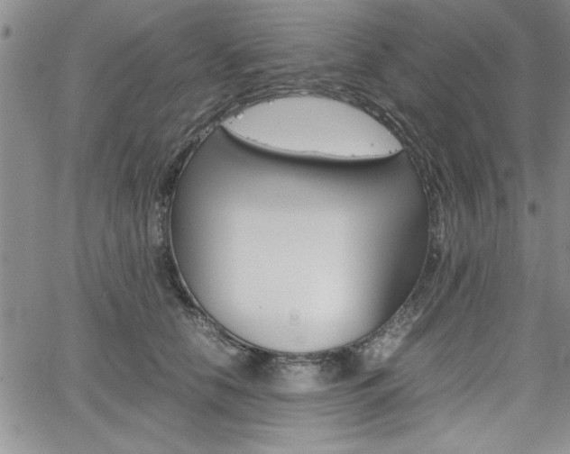 X0000062170658200512091052