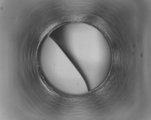X0000062170674200512091052