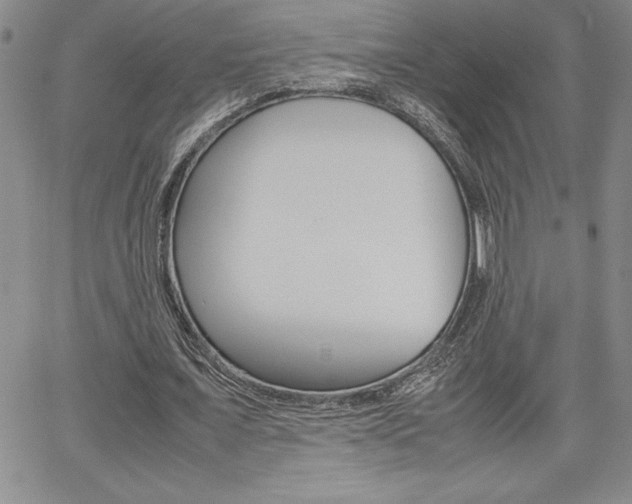X0000062170675200512091052