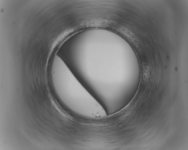 X0000062170678200512091052