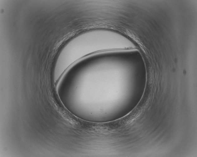 X0000062170681200512091051